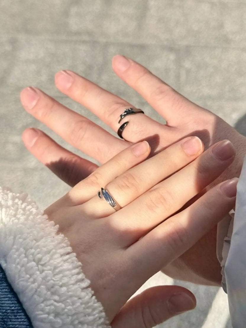 Night Fury & Light Fury Matching Rings